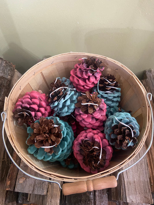 Fire starters (Pine cone)