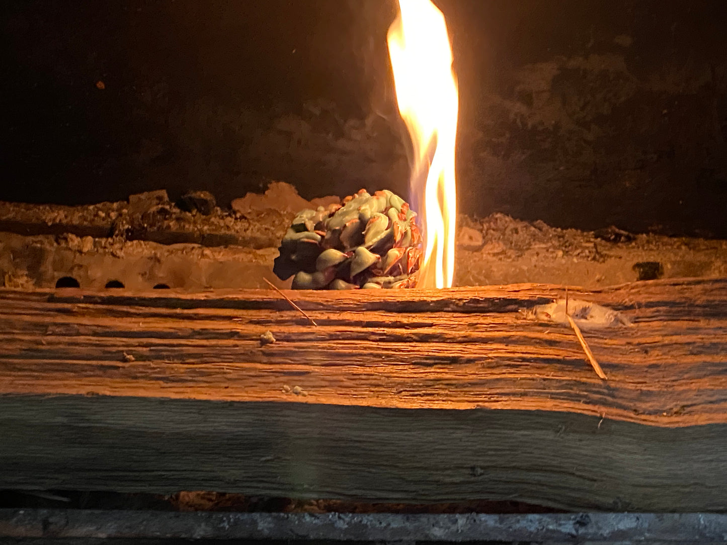 Fire starters (Pine cone)